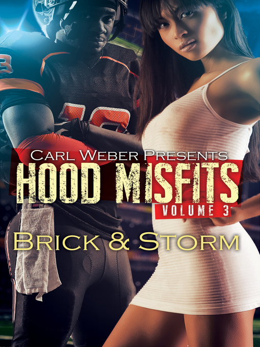 Title details for Hood Misfits Volume 3 by Brick - Wait list